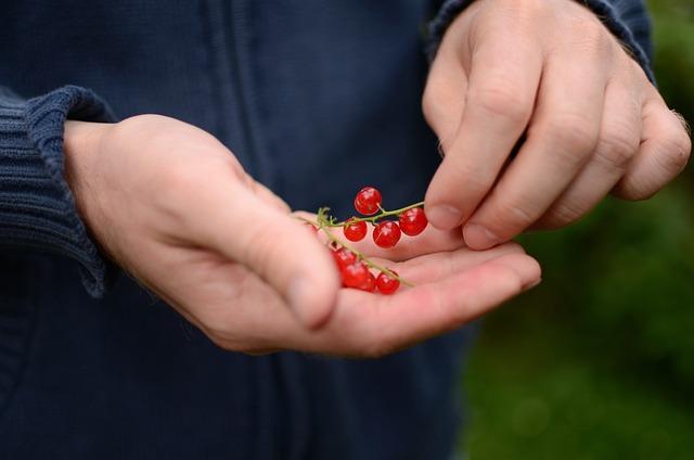 Bio krém proti vráskám: Přírodní péče pro mladistvý vzhled