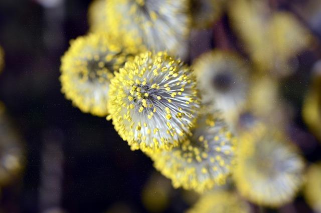 Alergie na Lepek a Vyrážka: Souvislosti a Řešení