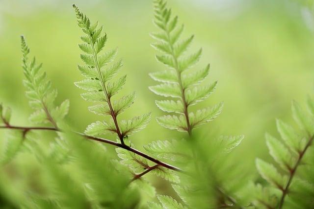 Tipy pro výběr správné bio kosmetiky pro vaši individuální potřebu