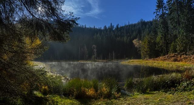 3. Narozeniny Blogu: Dort ‚Schwarzwald‘ jako Dárek!