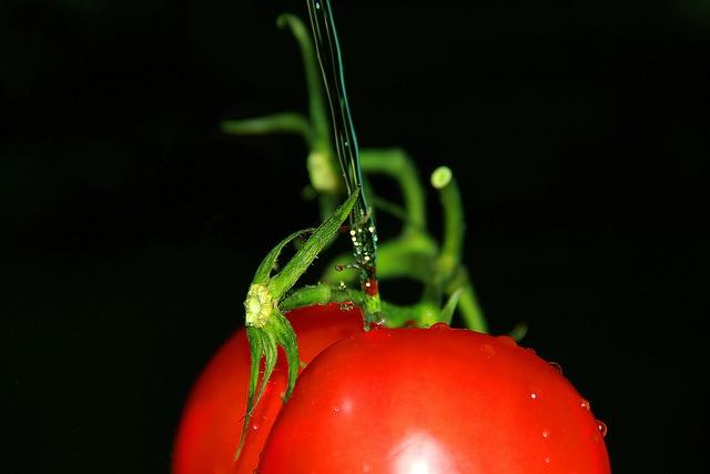 Jak se zjistí celiakie: Průvodce diagnostickými testy