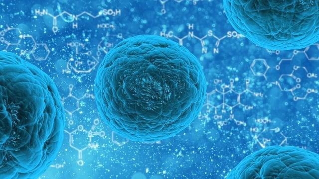 Kde Koupit Bio Mandarinky: Sladká Vitamínová Bomba!