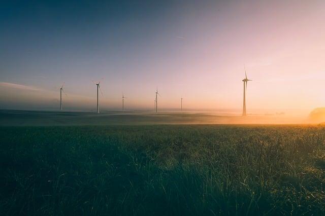 Jak si připravit energetický pokrm po náročném tréninku?