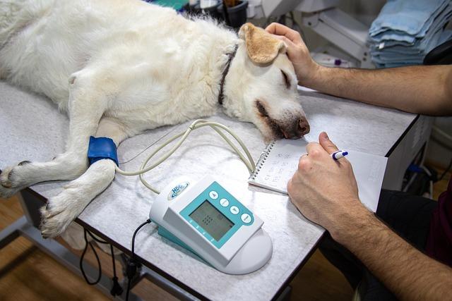 Vyšetření Celiakie u Dětí: 5 Kroků k Rychlé Diagnóze a Šťastnějšímu Životu